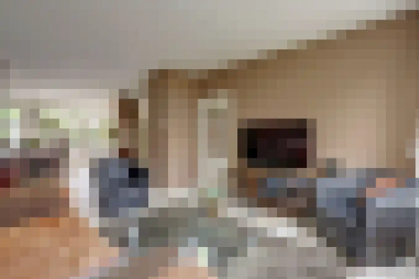De Mérodelaan 30 Ridderkerk thumbnail 12