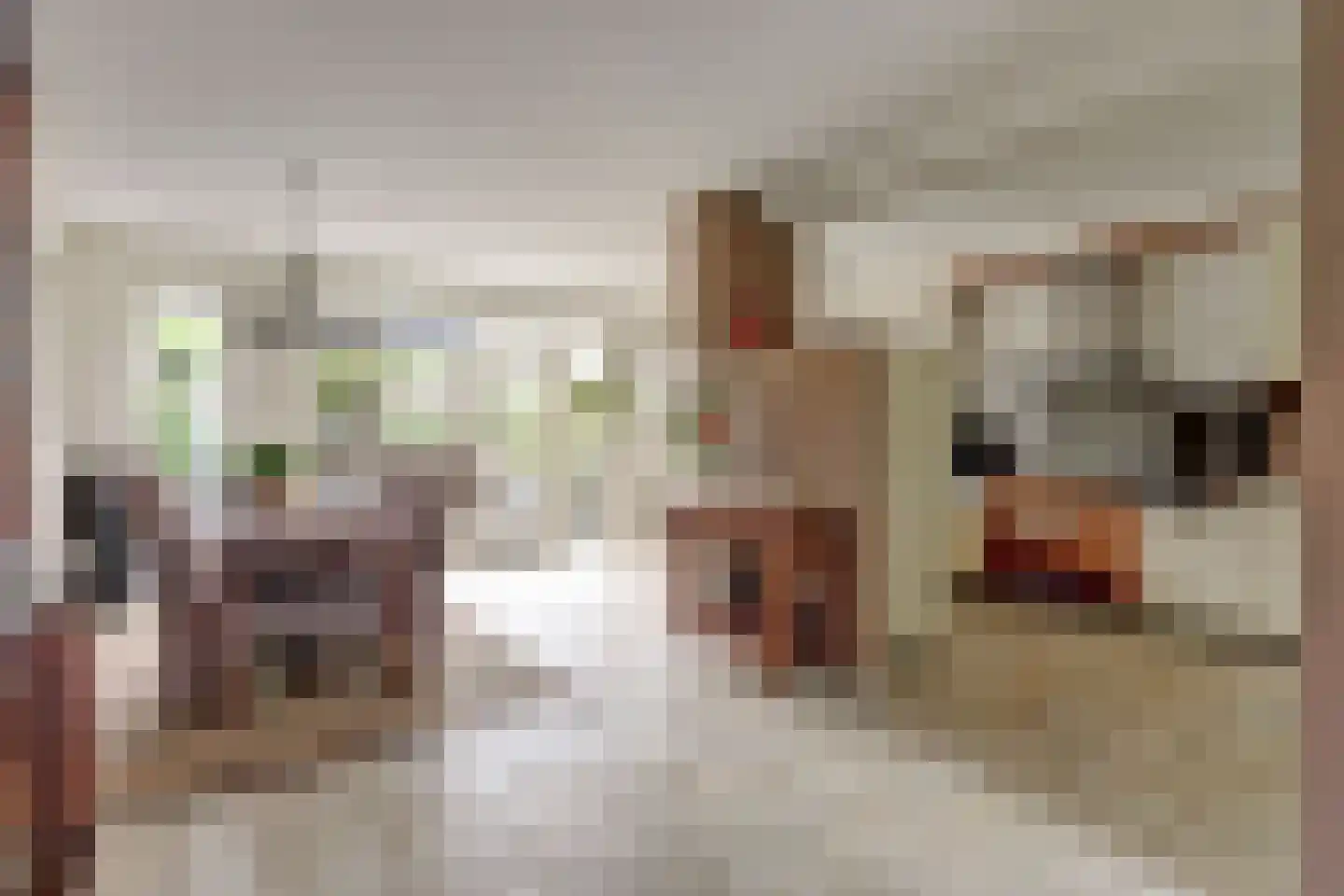 De Mérodelaan 30 Ridderkerk thumbnail 14
