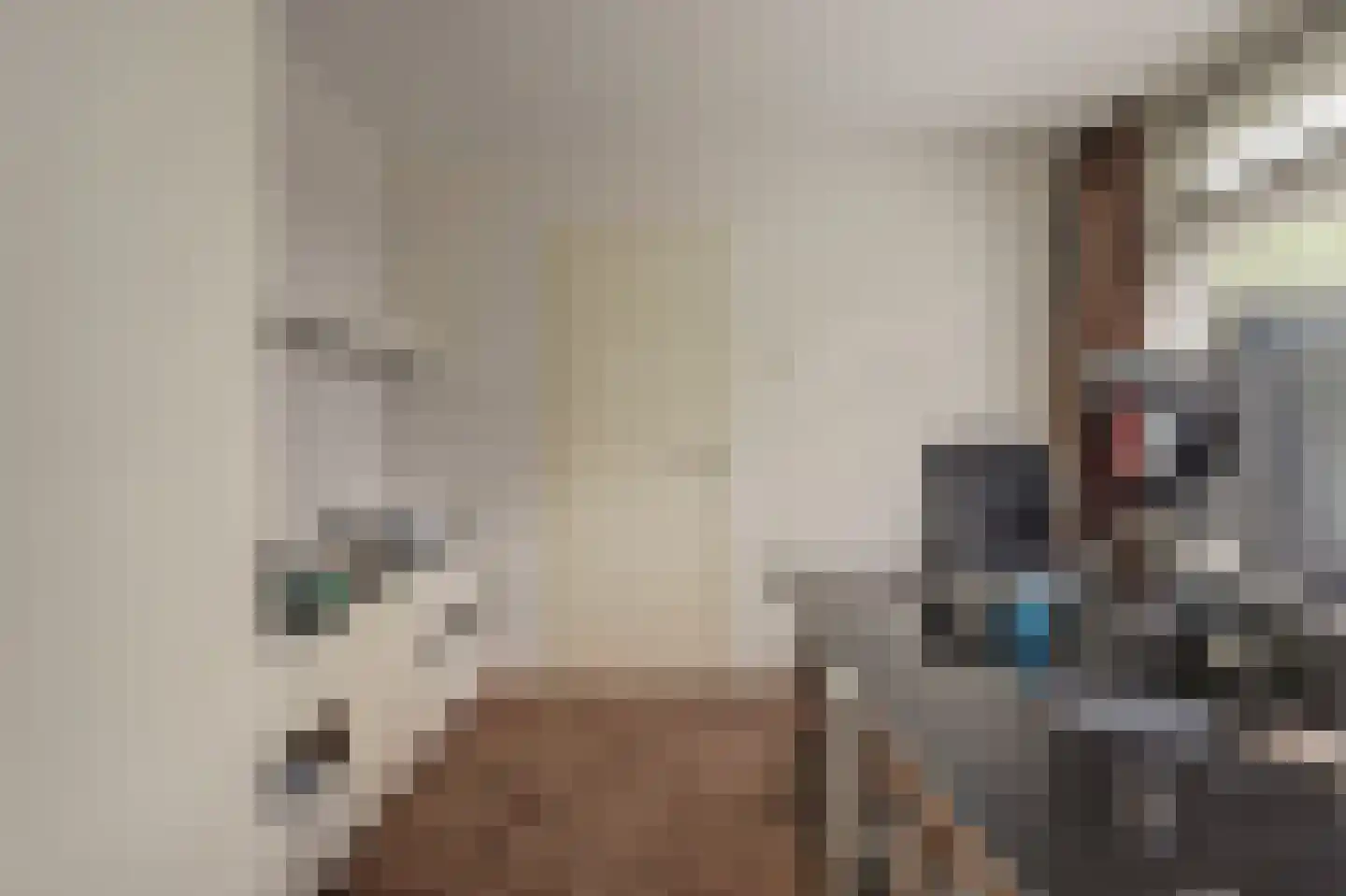 De Mérodelaan 30 Ridderkerk thumbnail 22