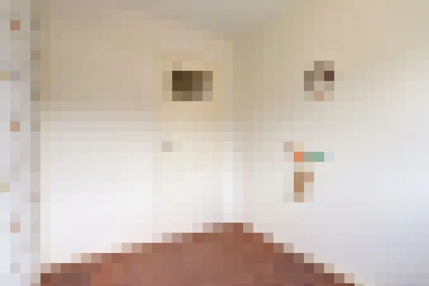 De Mérodelaan 30 Ridderkerk thumbnail 24