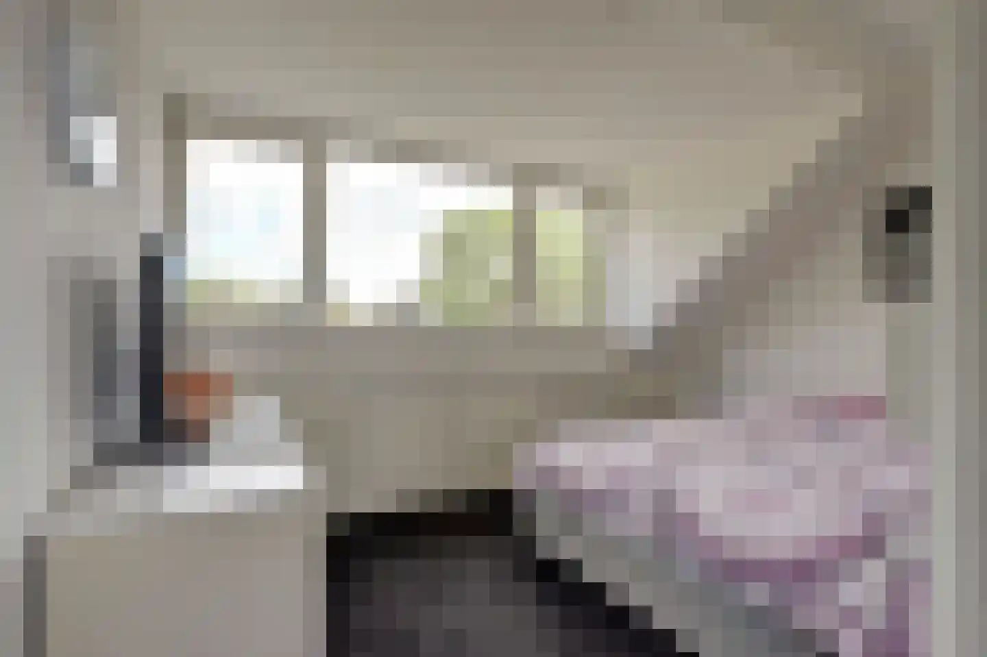 De Mérodelaan 30 Ridderkerk thumbnail 32