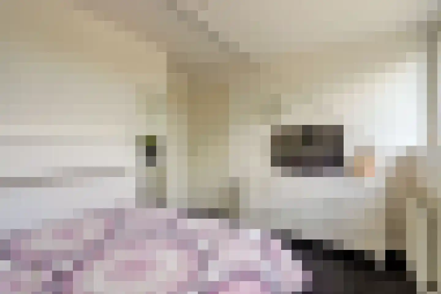 De Mérodelaan 30 Ridderkerk thumbnail 33