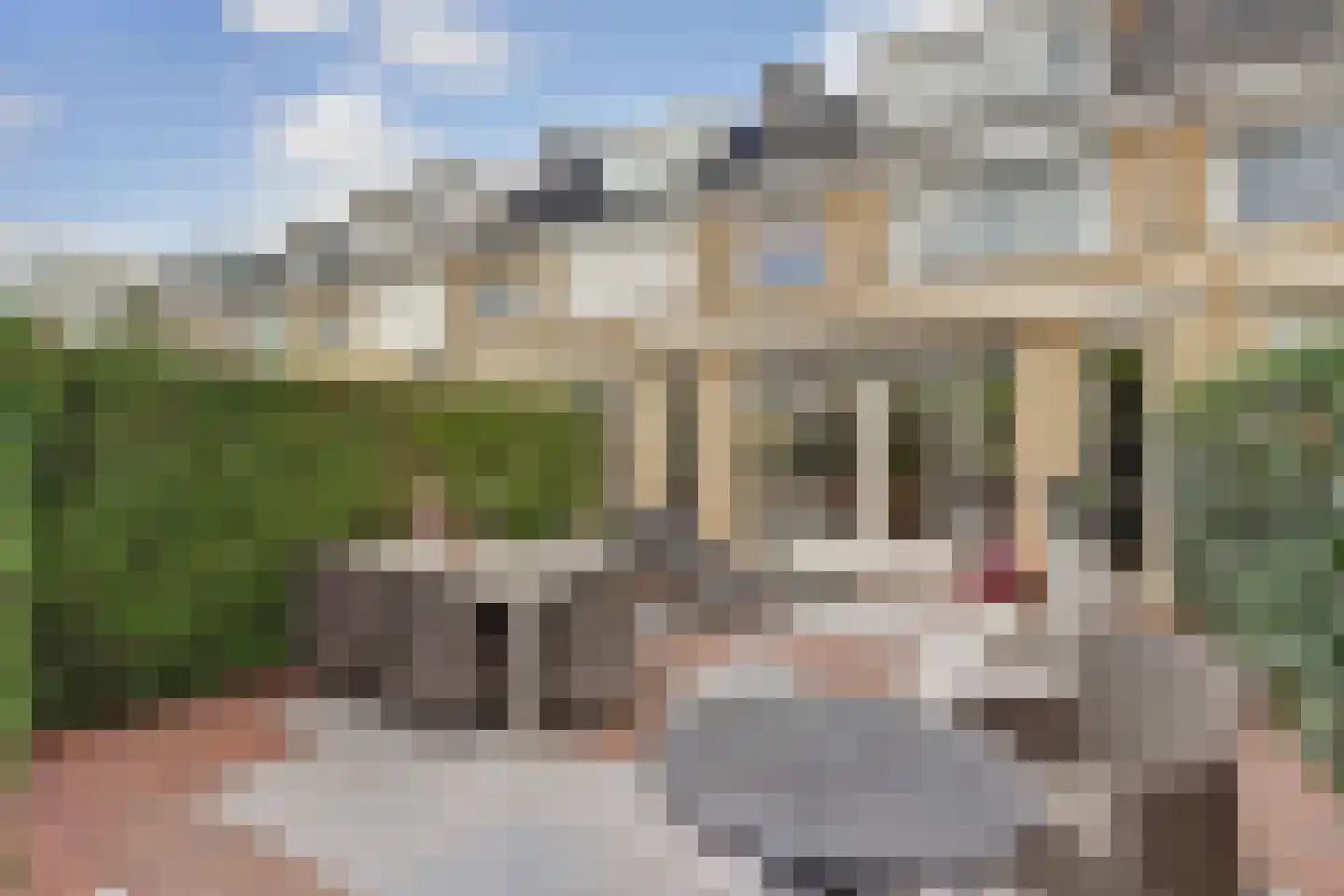 De Mérodelaan 30 Ridderkerk thumbnail 35