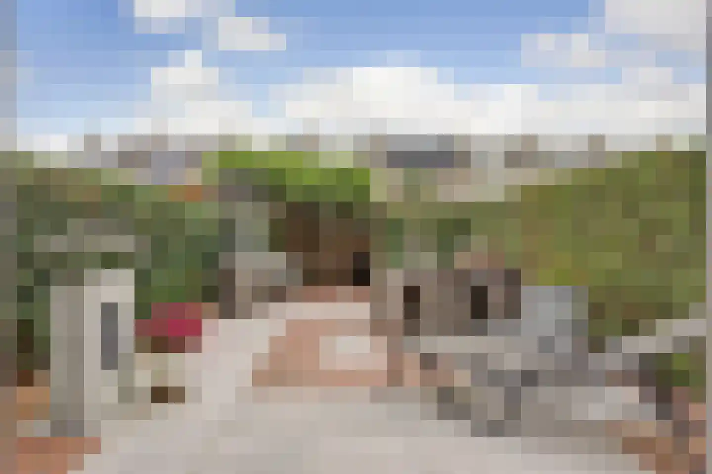 De Mérodelaan 30 Ridderkerk thumbnail 36
