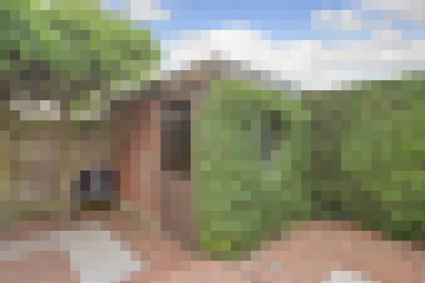 De Mérodelaan 30 Ridderkerk thumbnail 38