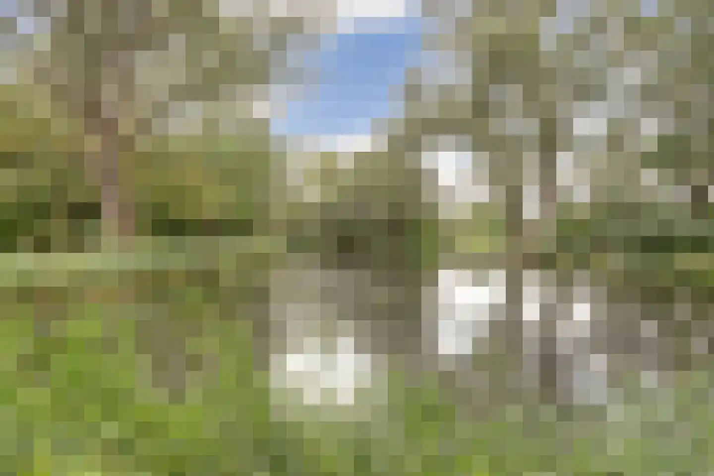 De Mérodelaan 30 Ridderkerk thumbnail 39