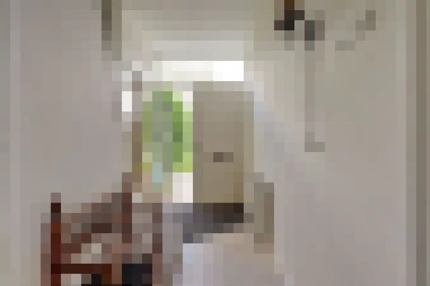 De Mérodelaan 30 Ridderkerk thumbnail 8