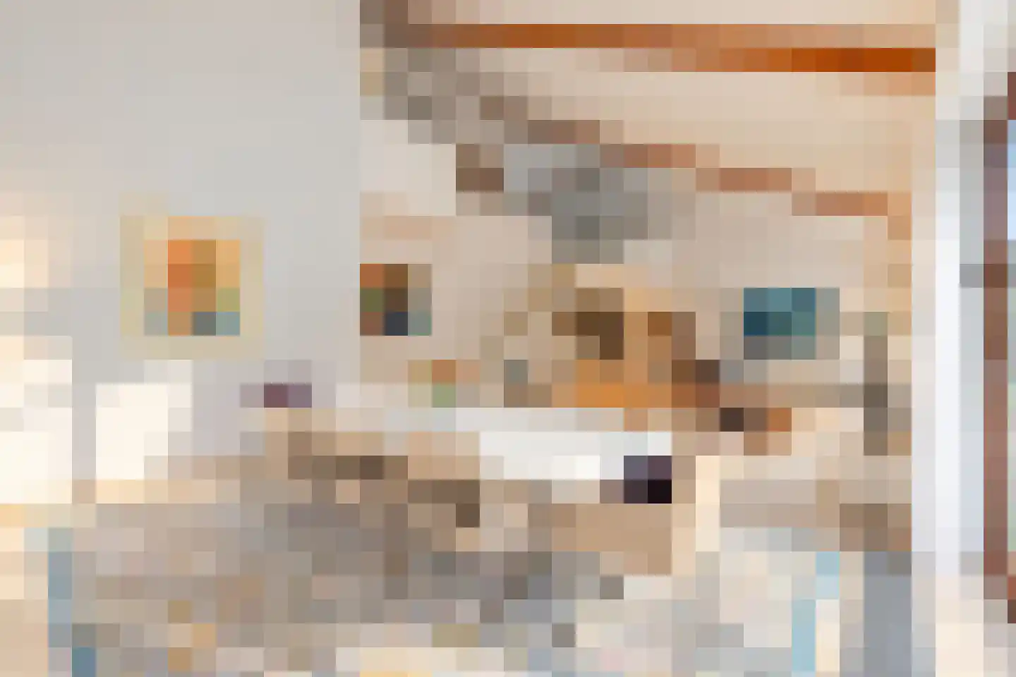 De Mérodelaan 74 5 Uithoorn thumbnail 4