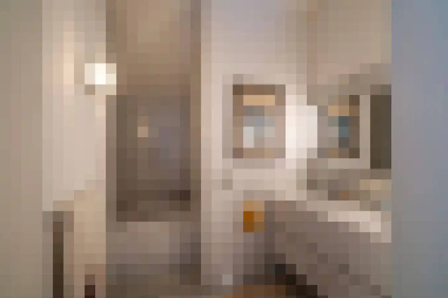 De Mérodelaan 74 6 Uithoorn thumbnail 18