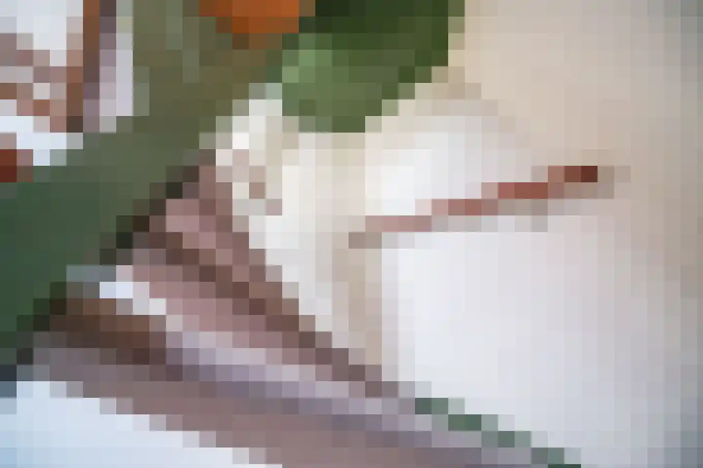 de Merodestraat 1 Zoeterwoude thumbnail 28