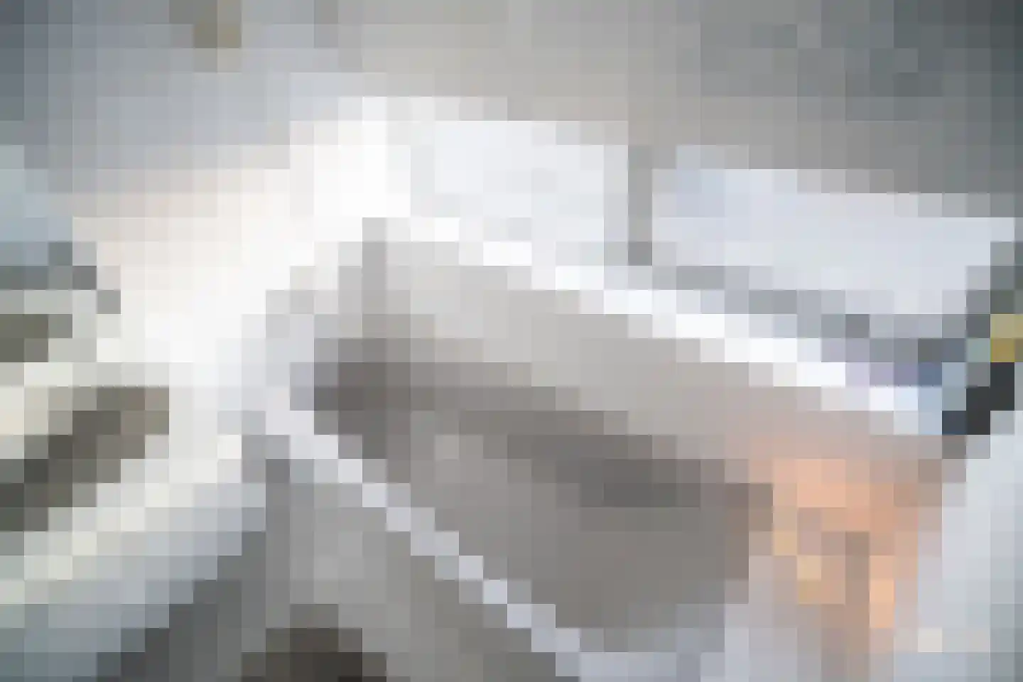 de Merodestraat 1 Zoeterwoude thumbnail 38