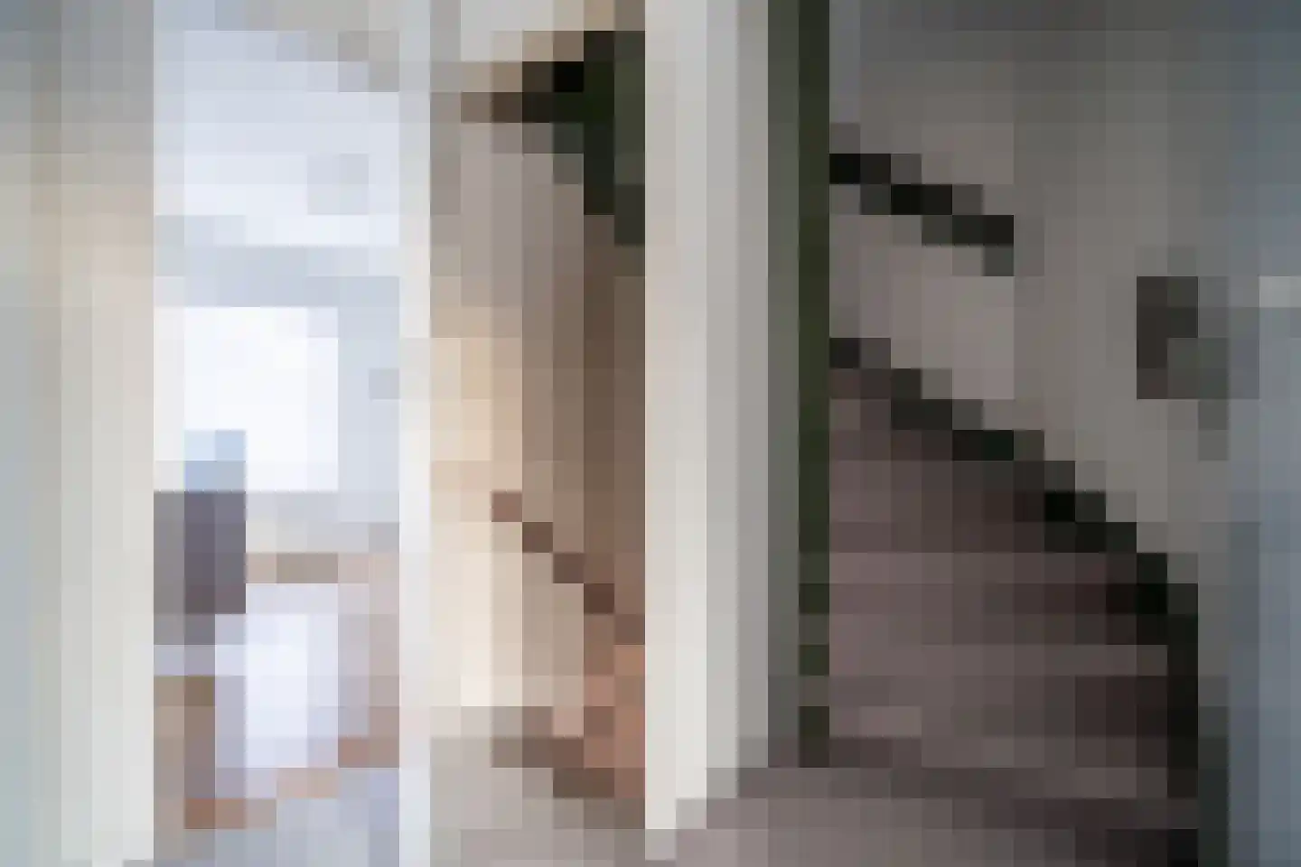 de Merodestraat 1 Zoeterwoude thumbnail 42