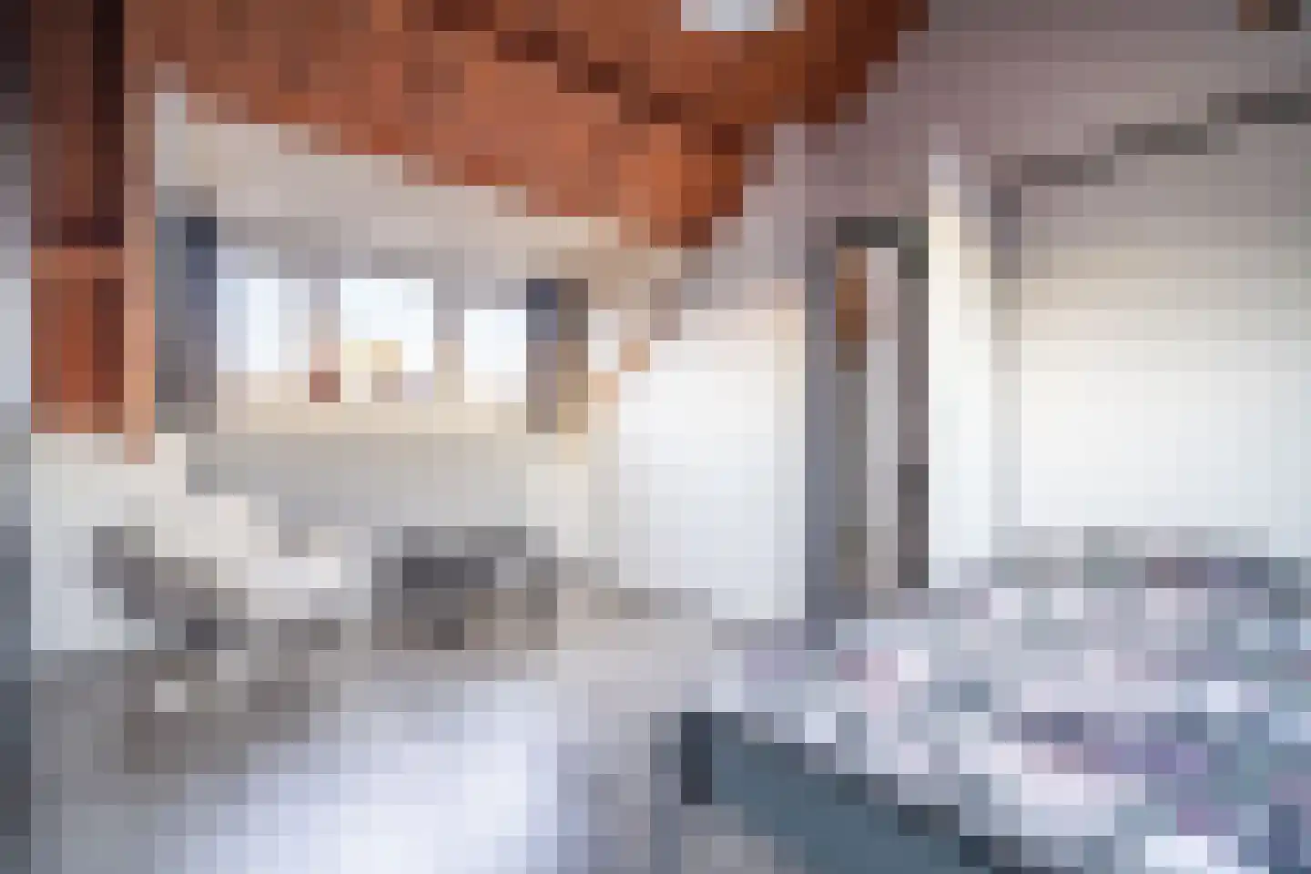 de Merodestraat 1 Zoeterwoude thumbnail 46