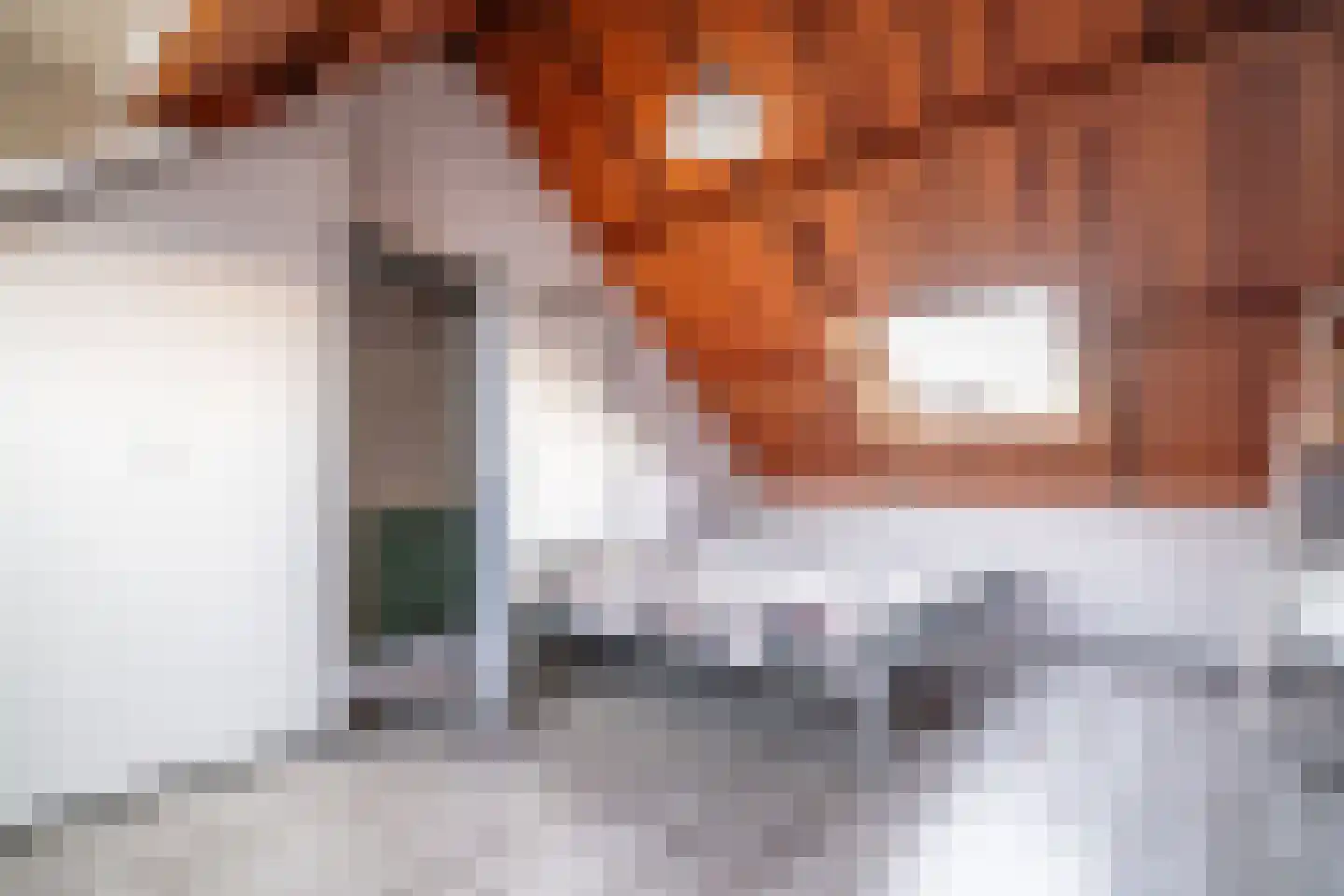 de Merodestraat 1 Zoeterwoude thumbnail 48