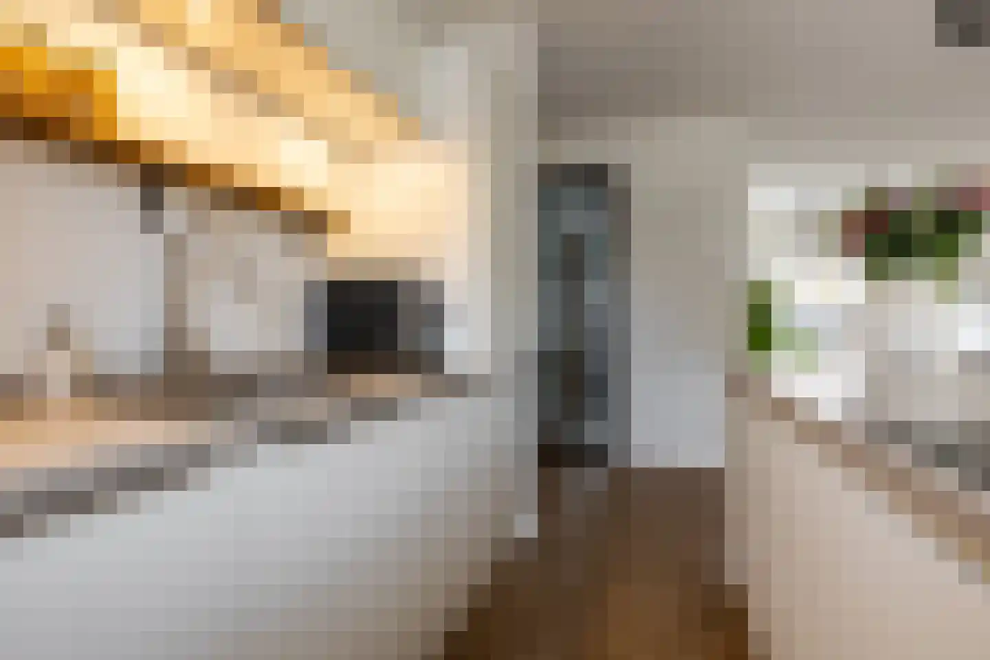 De Merodestraat 19 Rotterdam thumbnail 13