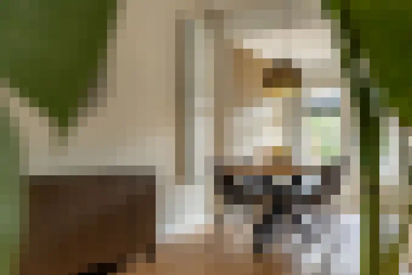 De Merodestraat 19 Rotterdam thumbnail 18