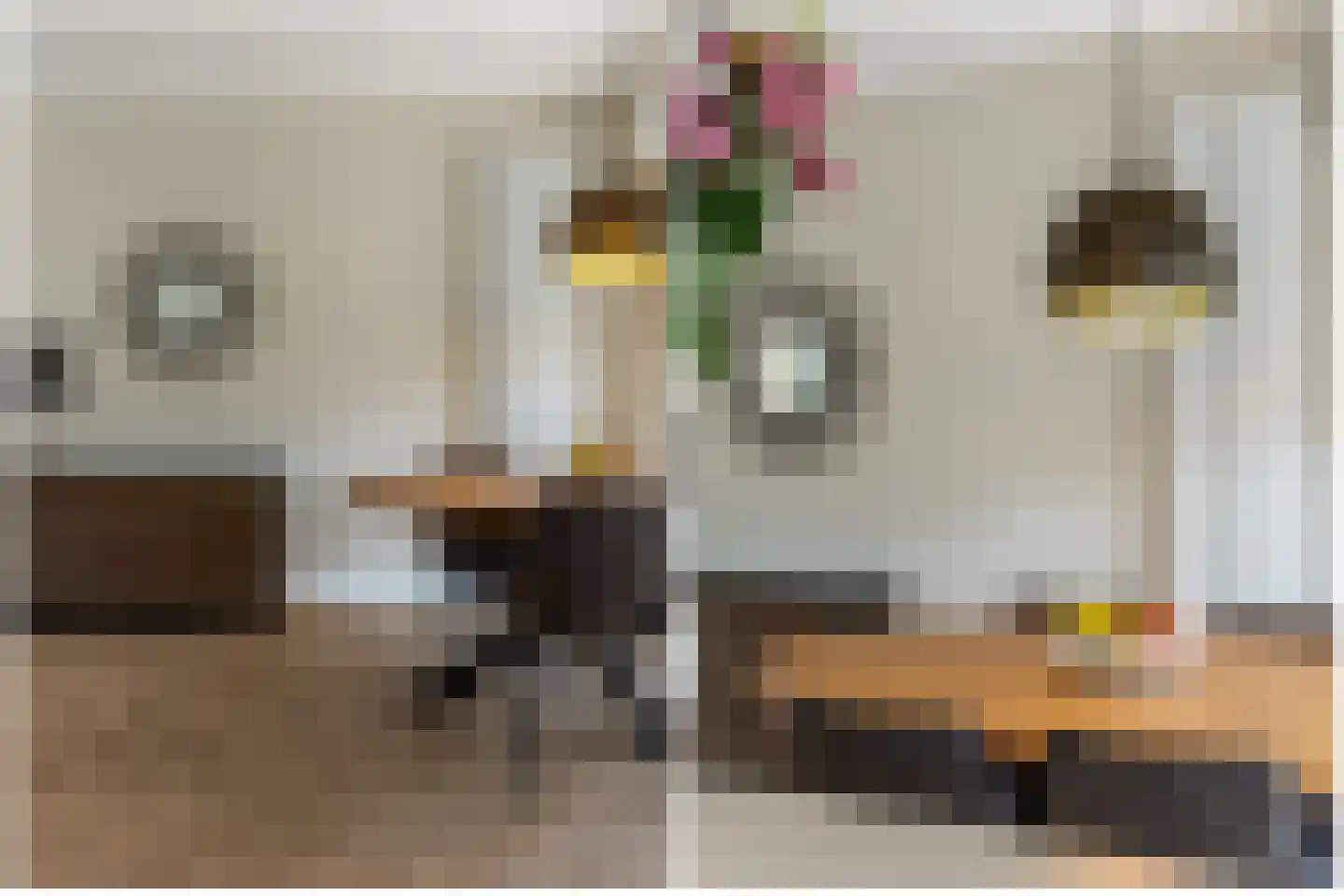 De Merodestraat 19 Rotterdam thumbnail 19