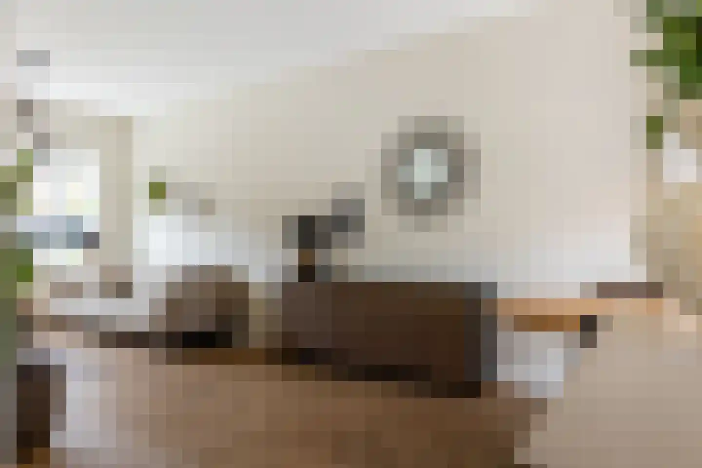 De Merodestraat 19 Rotterdam thumbnail 20