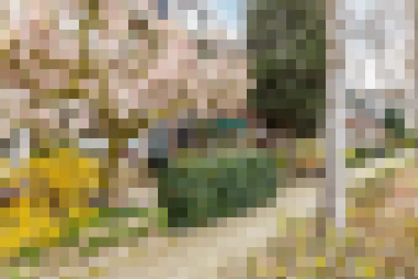 De Merodestraat 19 Rotterdam thumbnail 46