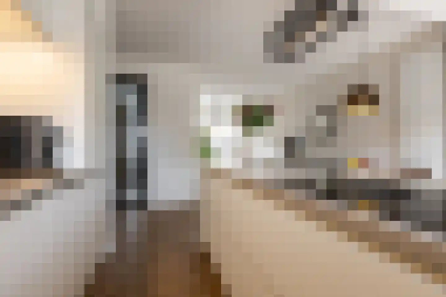 De Merodestraat 19 Rotterdam thumbnail 6
