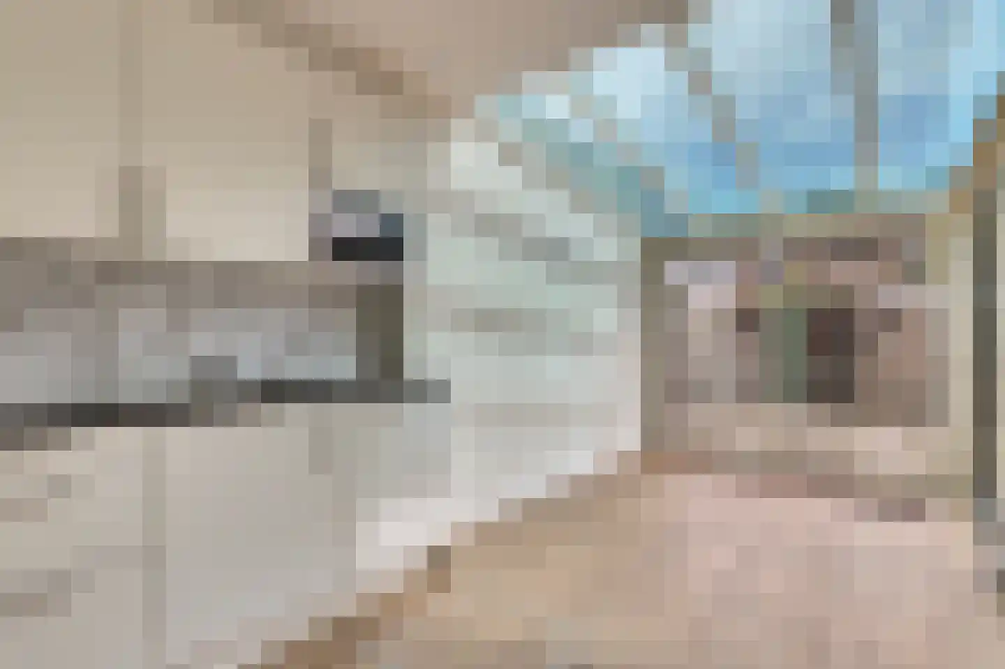 de Mérodestraat 3 Zwijndrecht thumbnail 11
