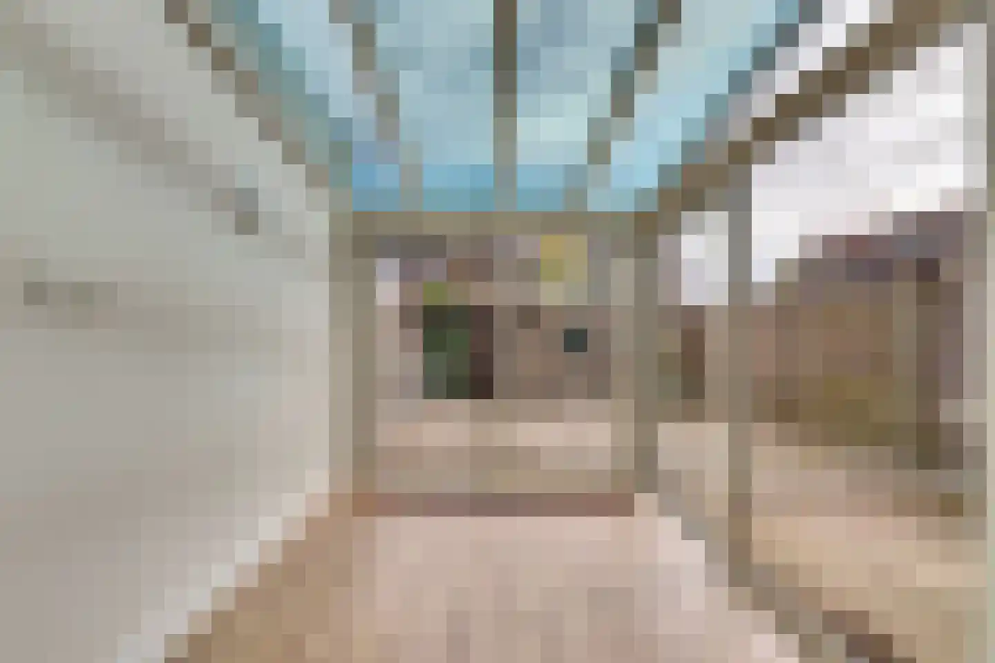 de Mérodestraat 3 Zwijndrecht thumbnail 12