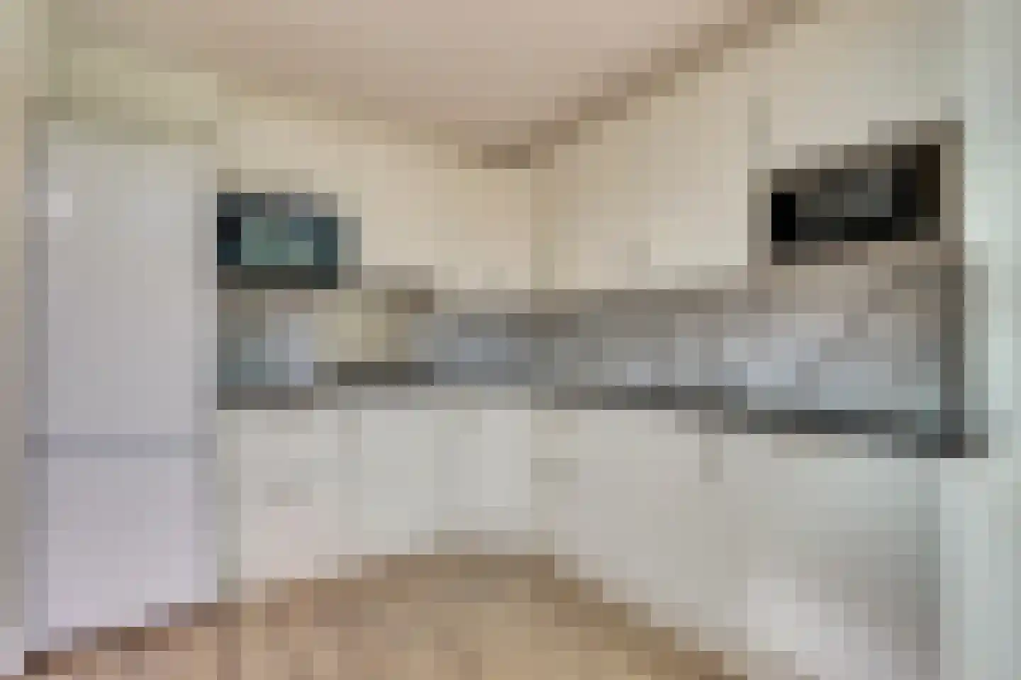 de Mérodestraat 3 Zwijndrecht thumbnail 9