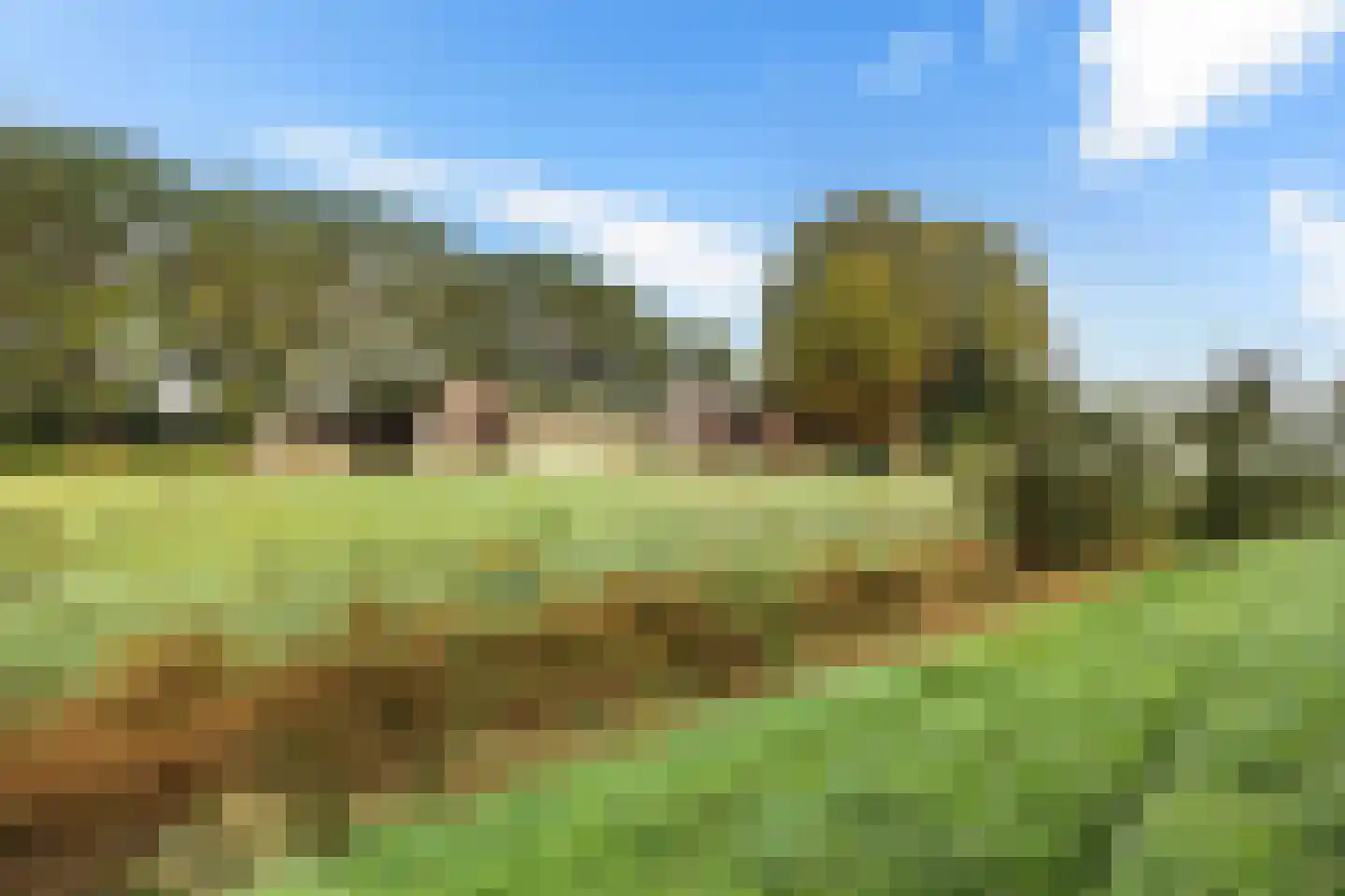 De Mersken 3 Siegerswoude thumbnail 10