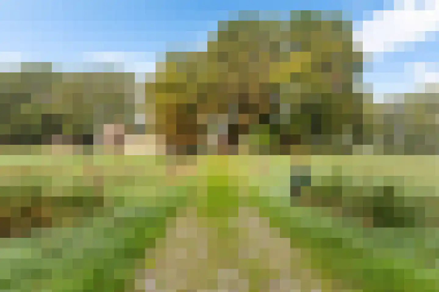 De Mersken 3 Siegerswoude thumbnail 11