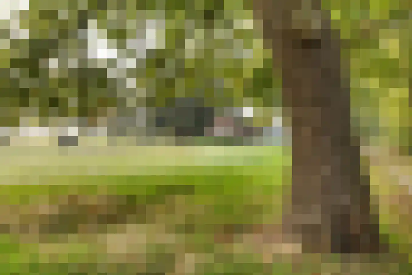 De Mersken 3 Siegerswoude thumbnail 15