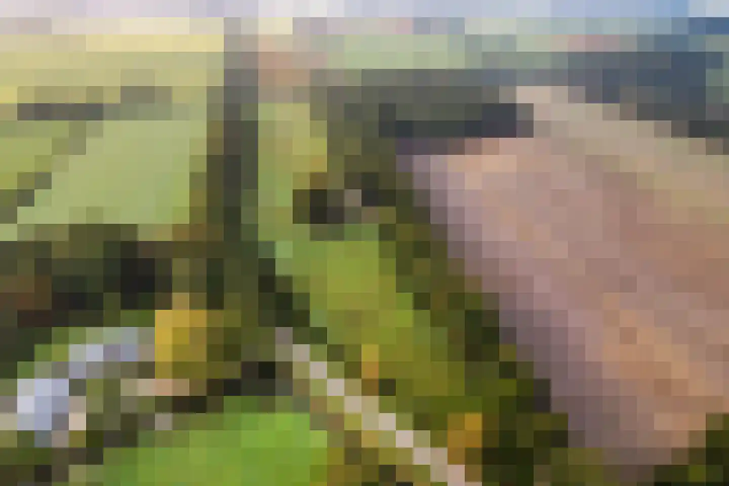 De Mersken 3 Siegerswoude thumbnail 18
