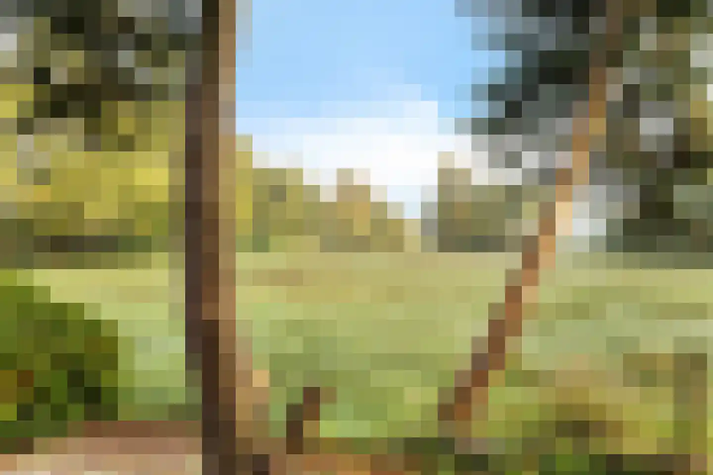 De Mersken 3 Siegerswoude thumbnail 20
