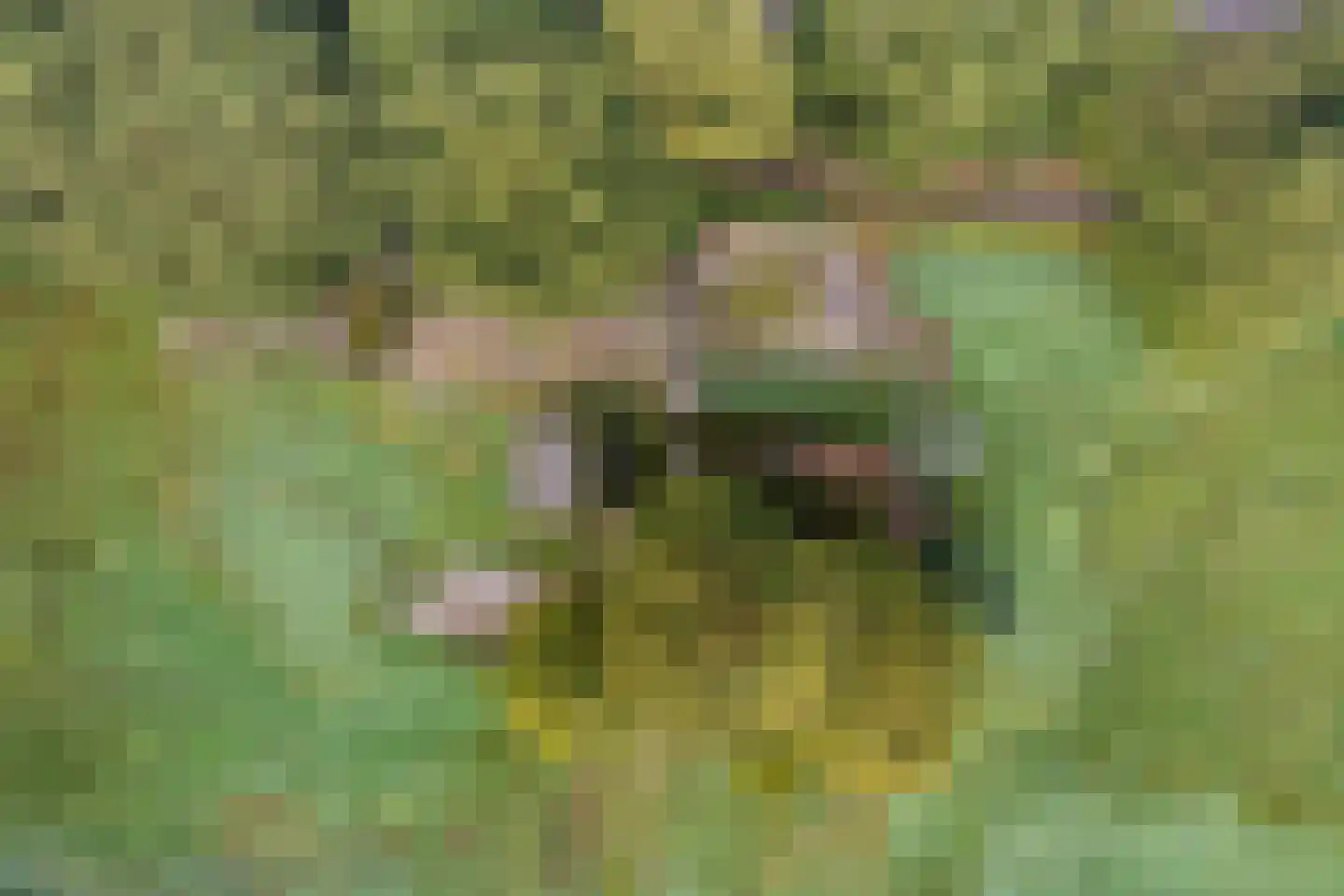 De Mersken 3 Siegerswoude thumbnail 21
