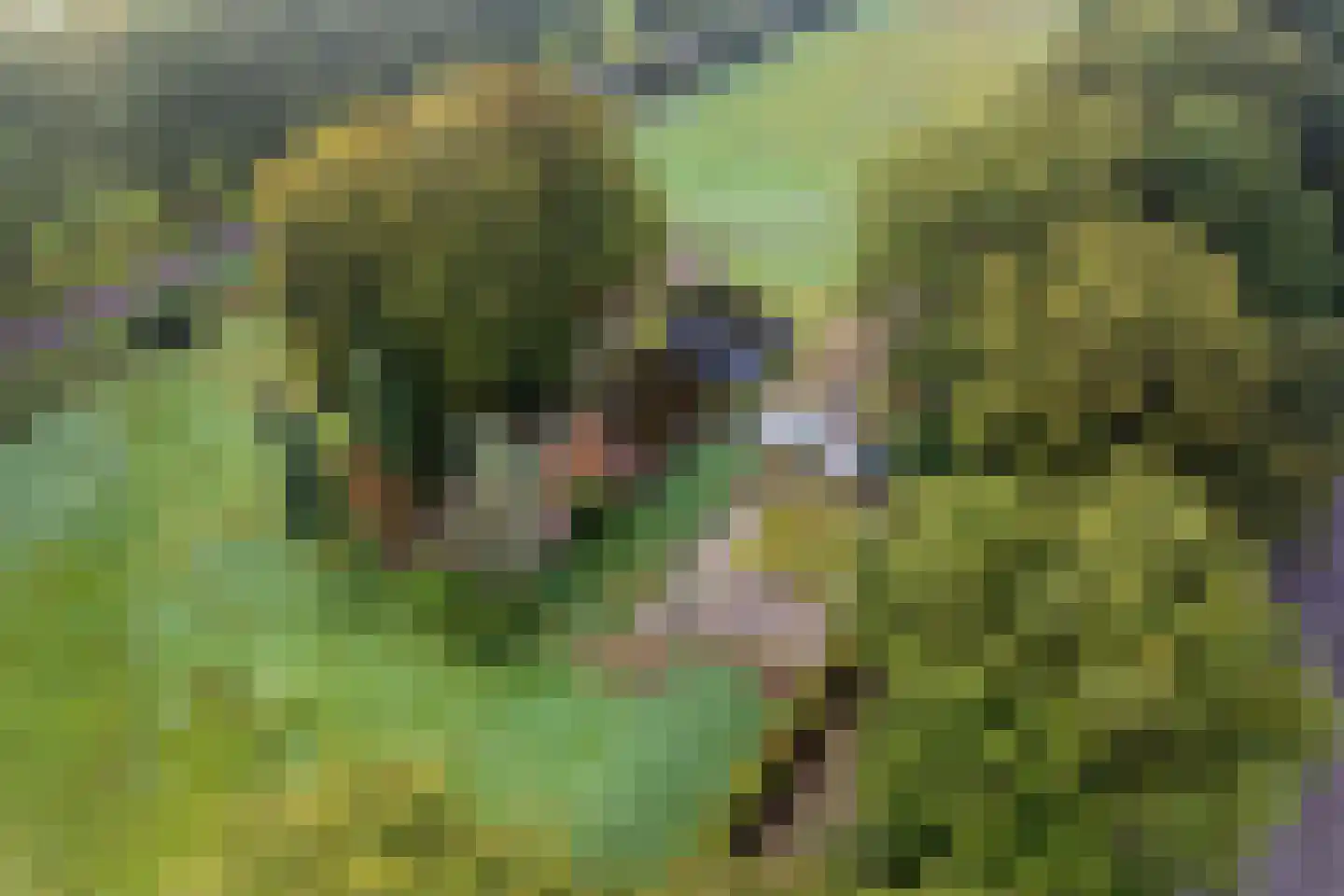 De Mersken 3 Siegerswoude thumbnail 4