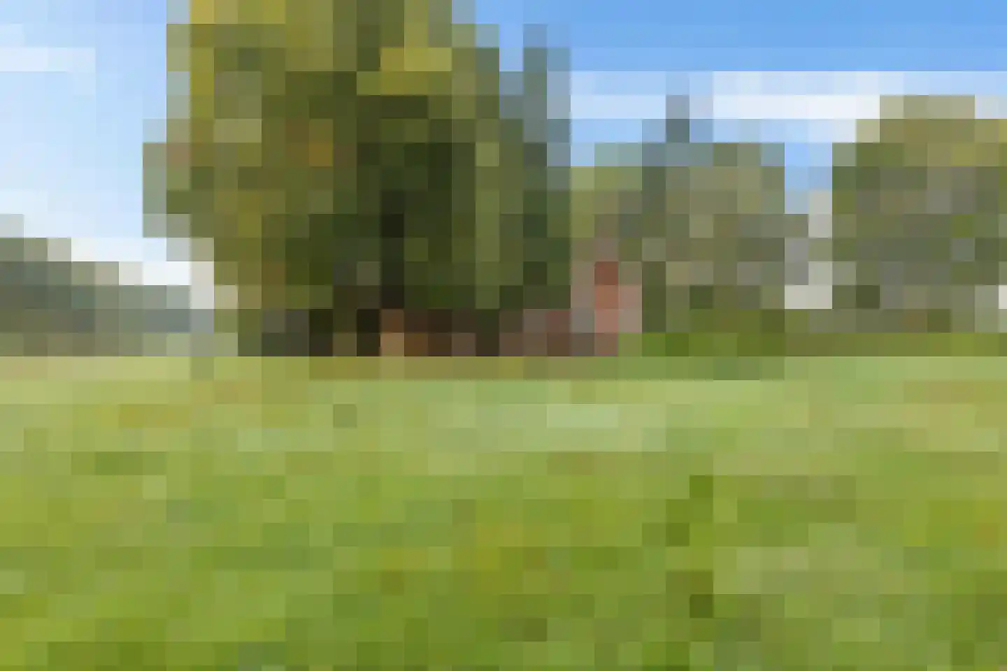 De Mersken 3 Siegerswoude thumbnail 5