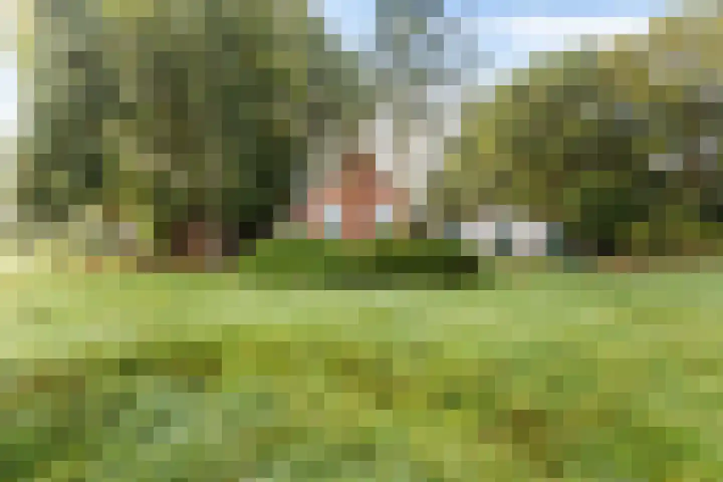 De Mersken 3 Siegerswoude thumbnail 8