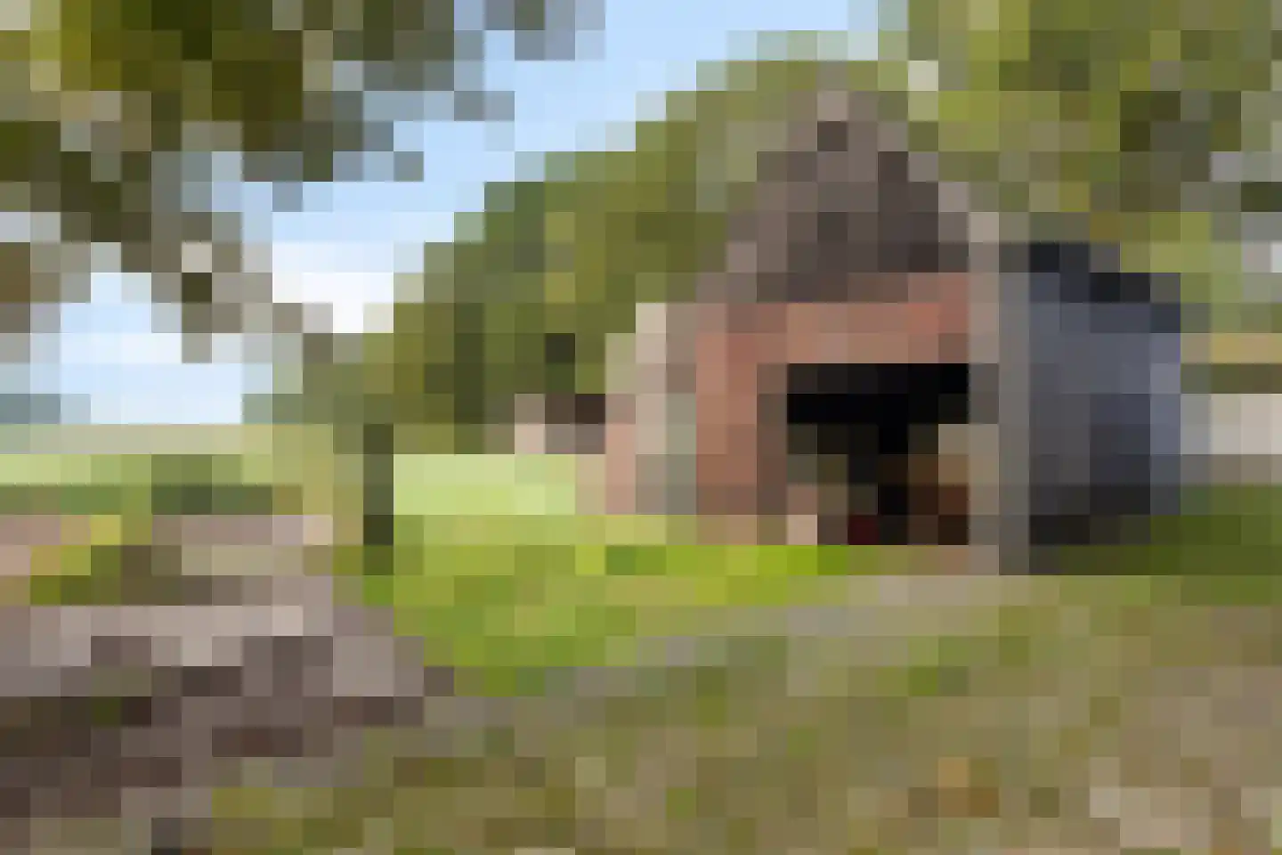 De Mersken 3 Siegerswoude thumbnail 9