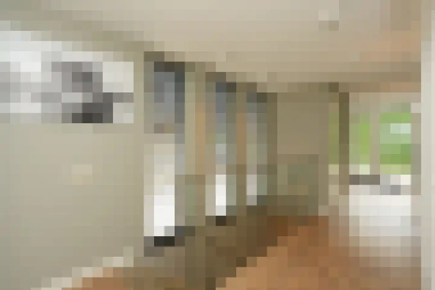De Messemaker 22 Cuijk thumbnail 12