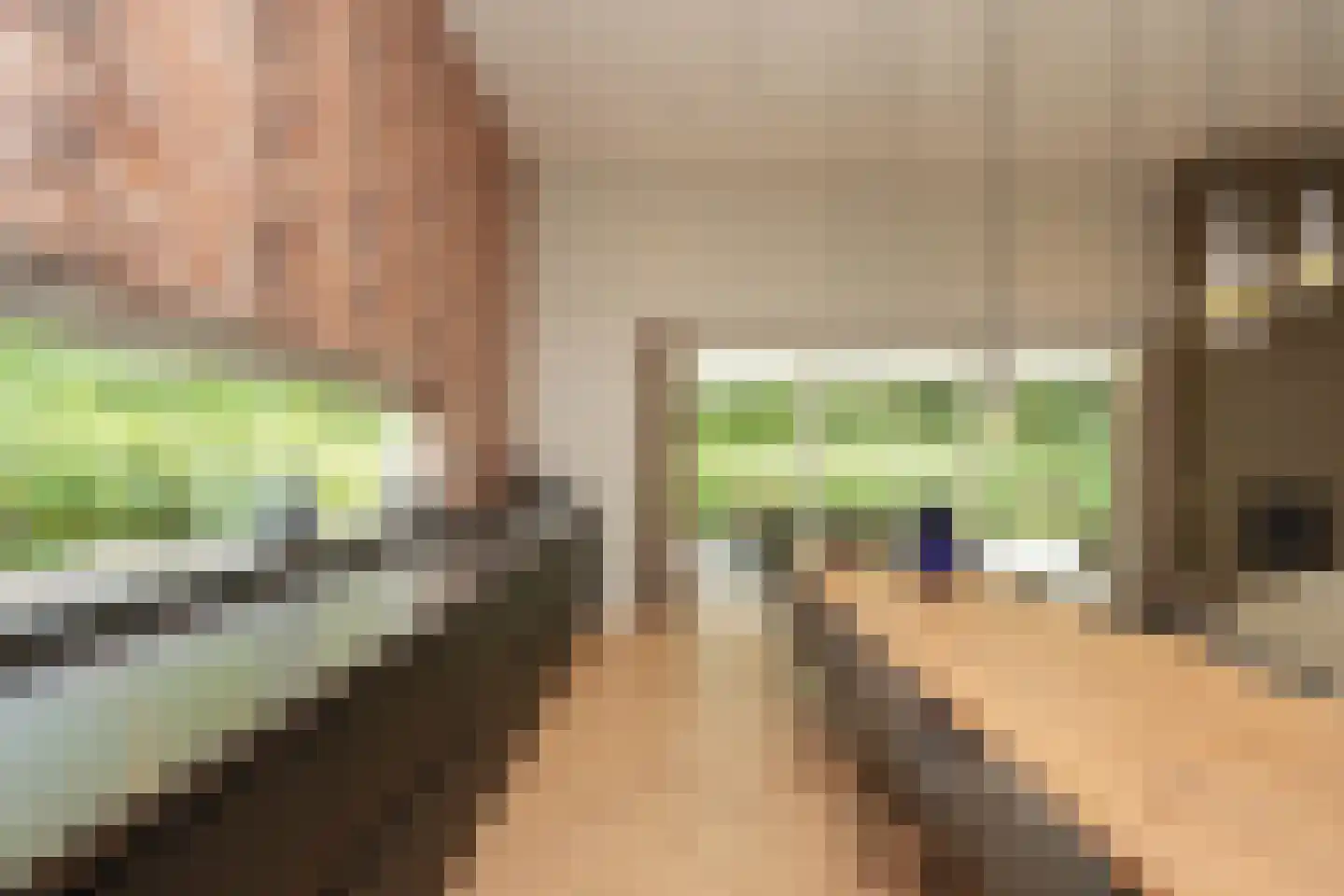 De Messemaker 22 Cuijk thumbnail 26