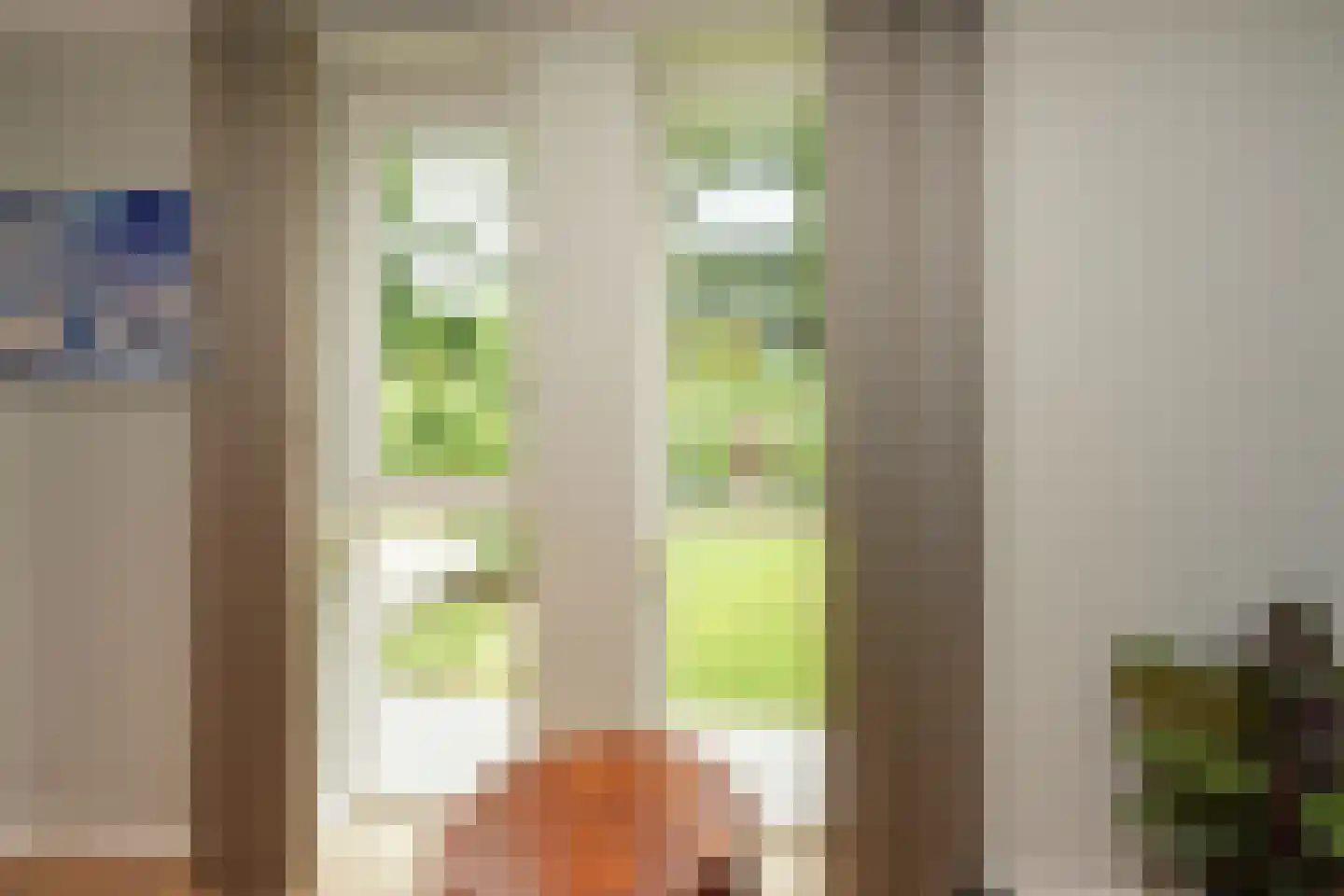 De Messemaker 22 Cuijk thumbnail 33
