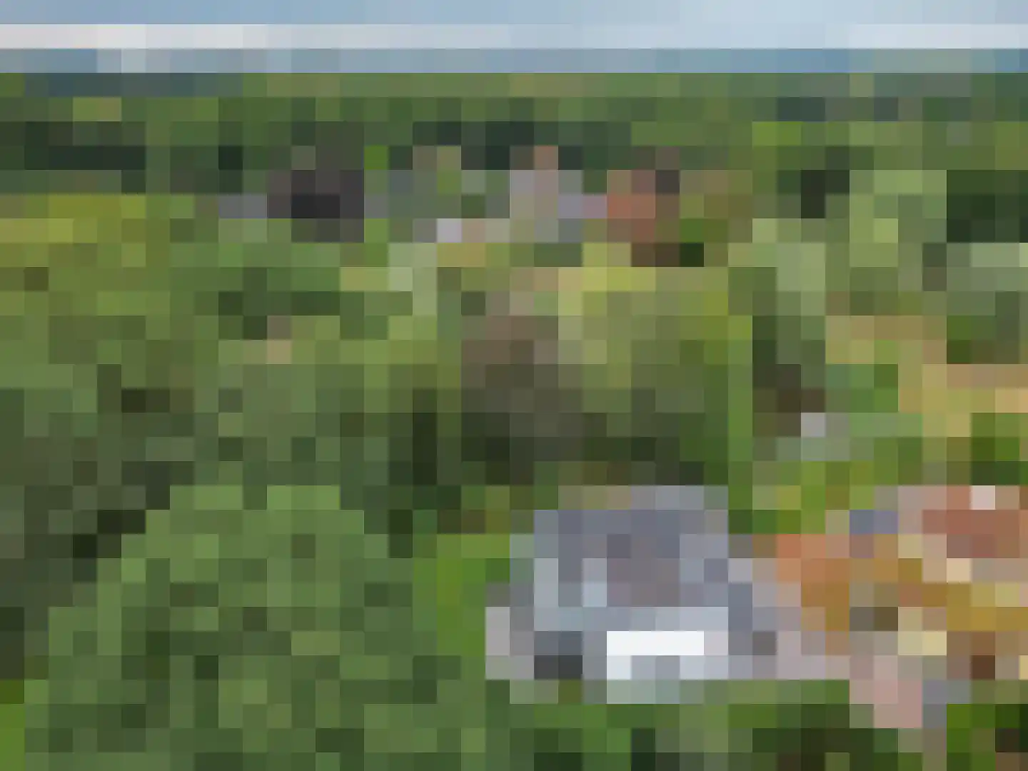 De Messemaker 22 Cuijk thumbnail 4