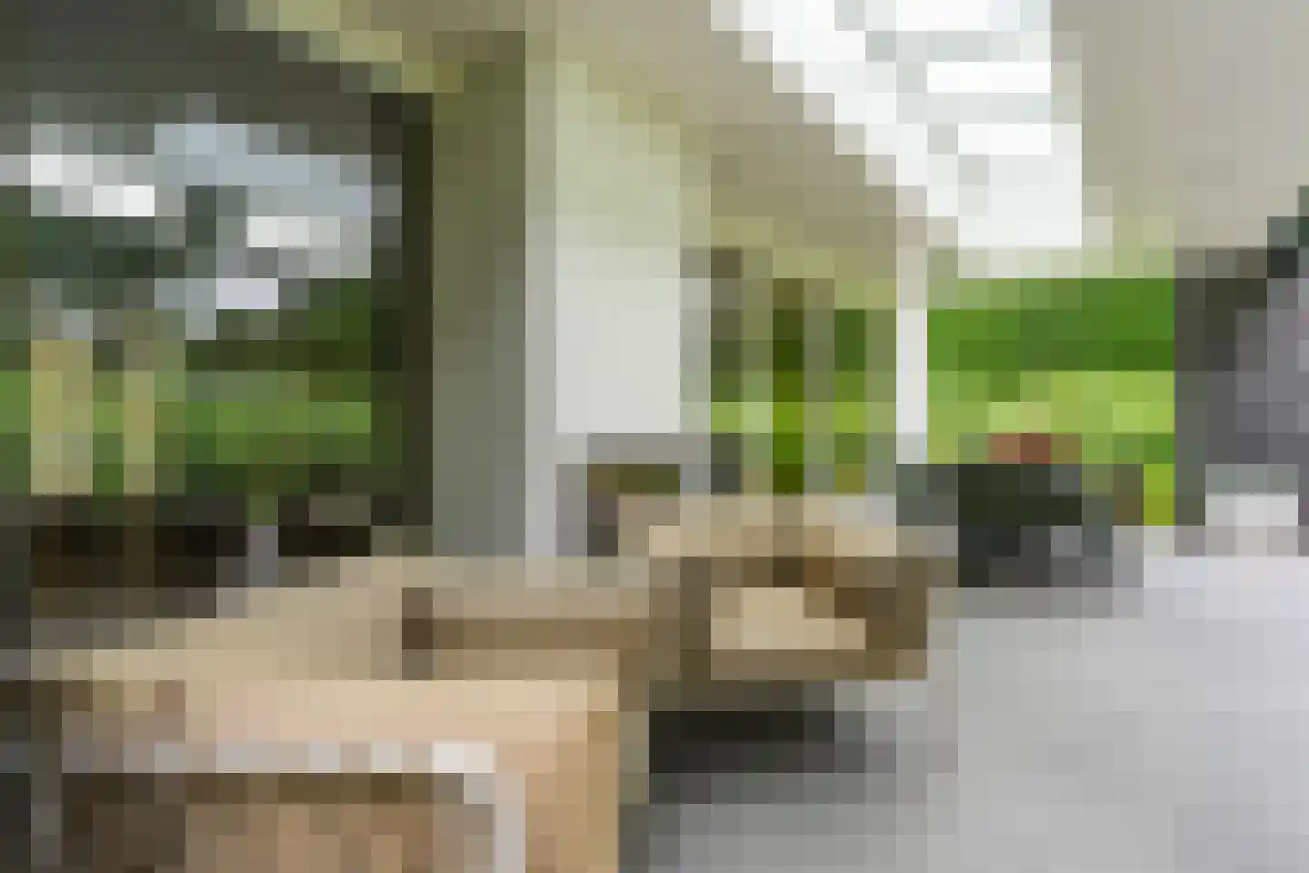 De Messemaker 22 Cuijk thumbnail 74