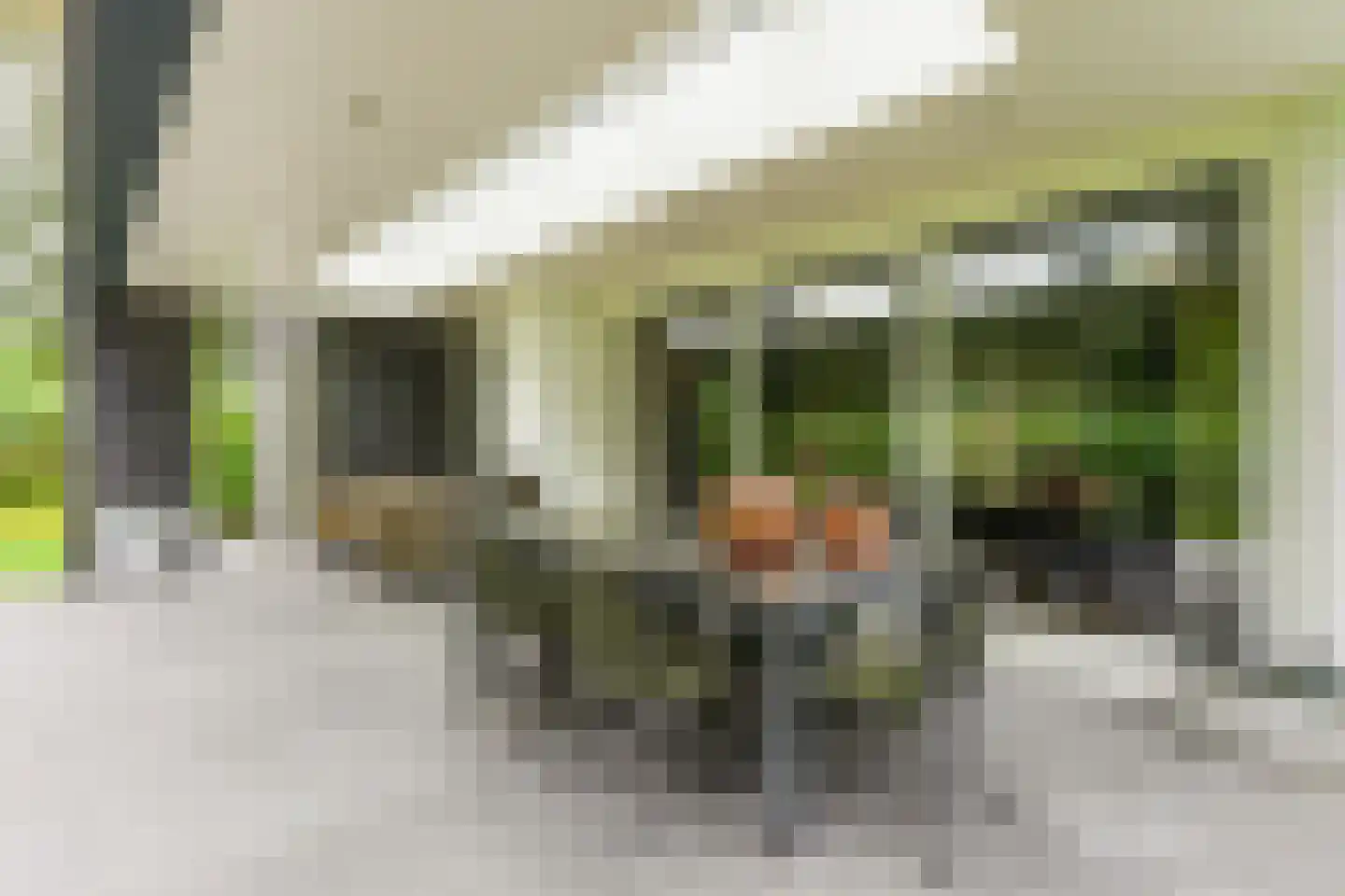 De Messemaker 22 Cuijk thumbnail 75