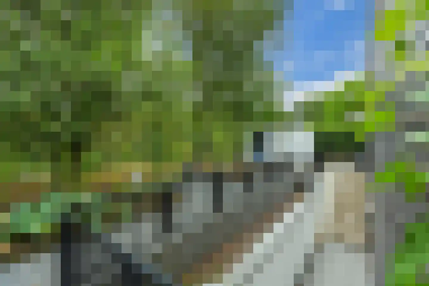De Messemaker 22 Cuijk thumbnail 80
