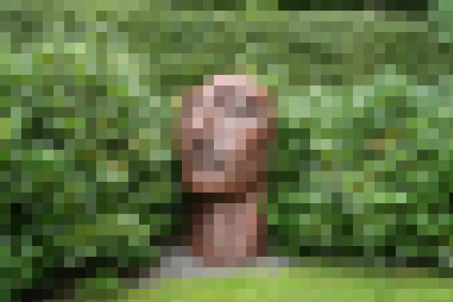 De Messemaker 22 Cuijk thumbnail 84