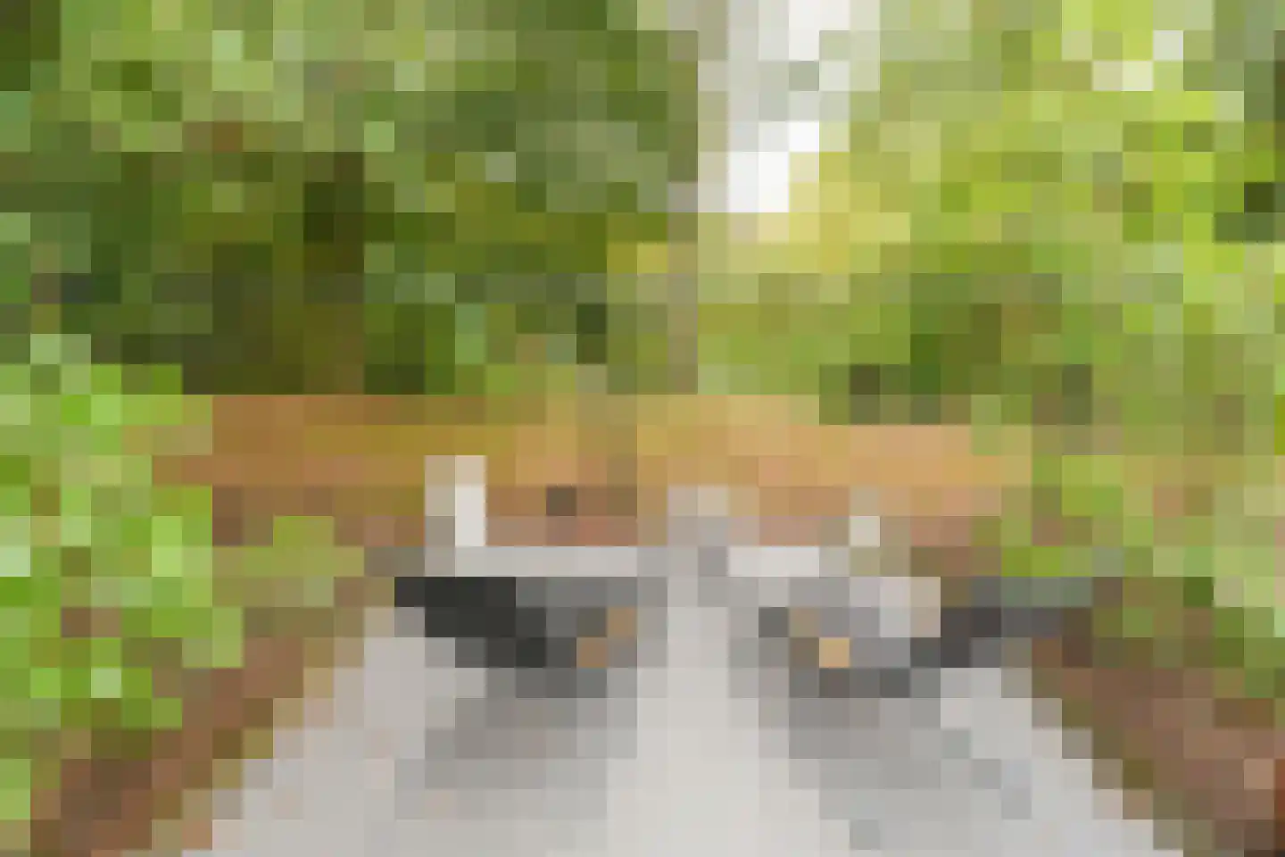 De Messemaker 22 Cuijk thumbnail 85