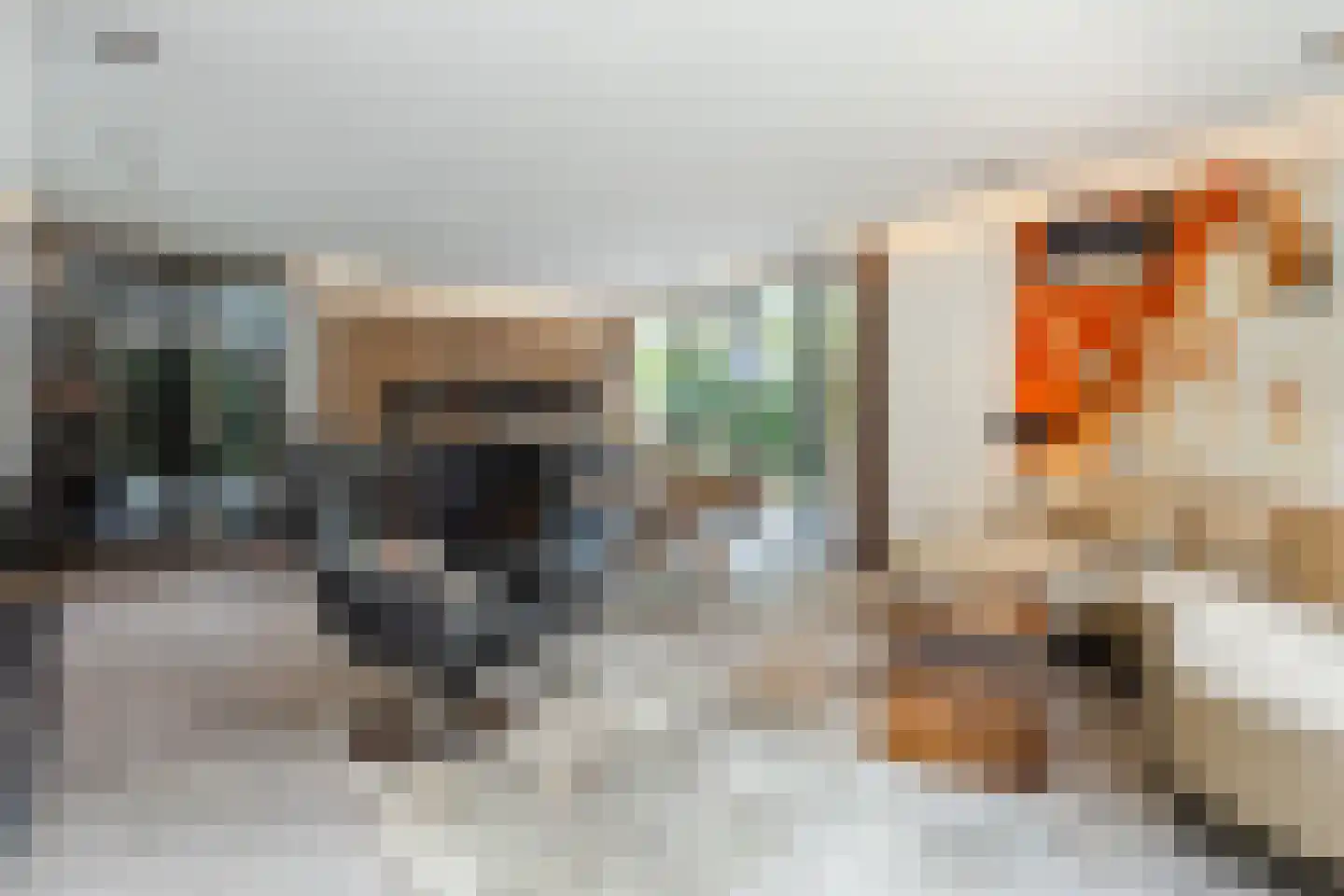 De Messemaker 29 Cuijk thumbnail 14