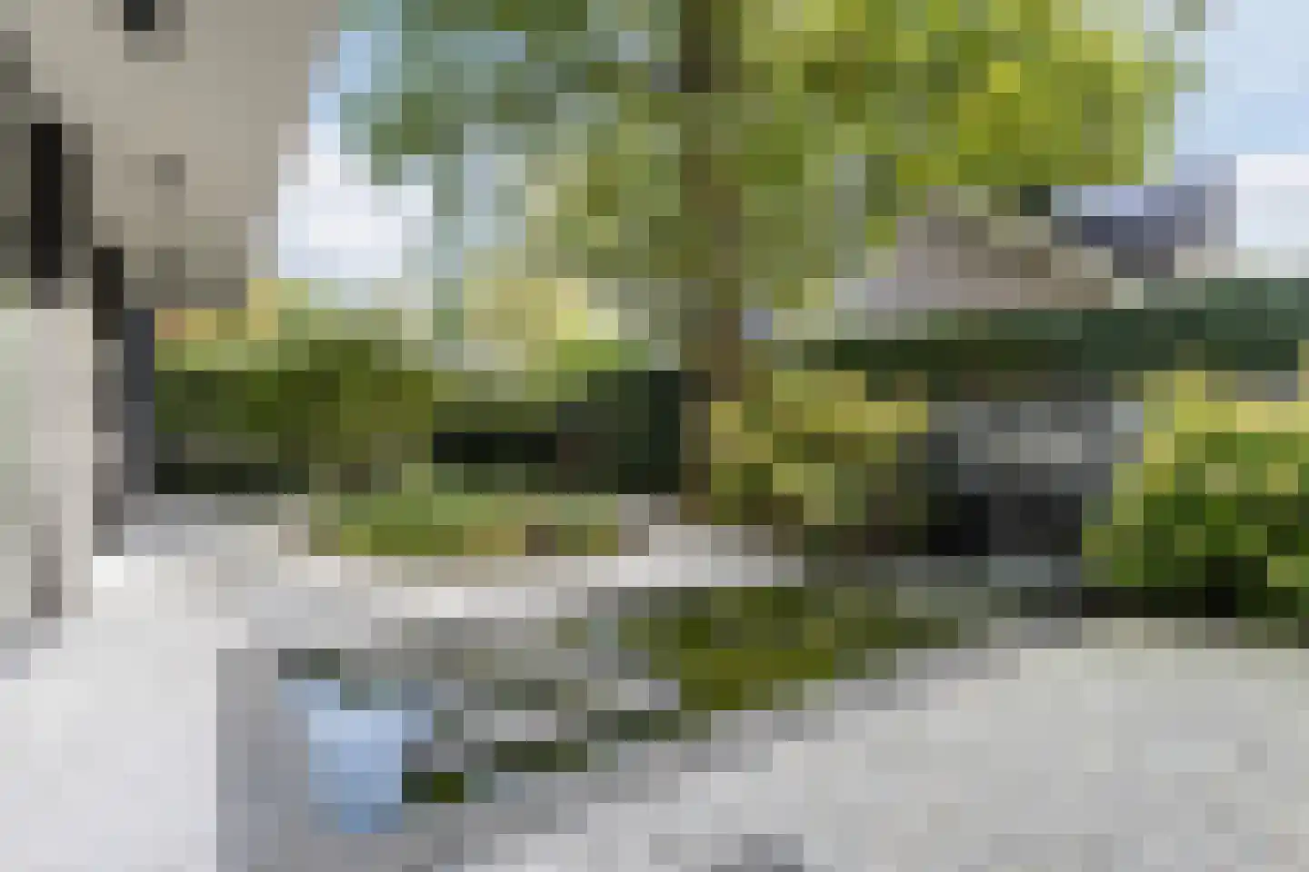 De Messemaker 29 Cuijk thumbnail 5