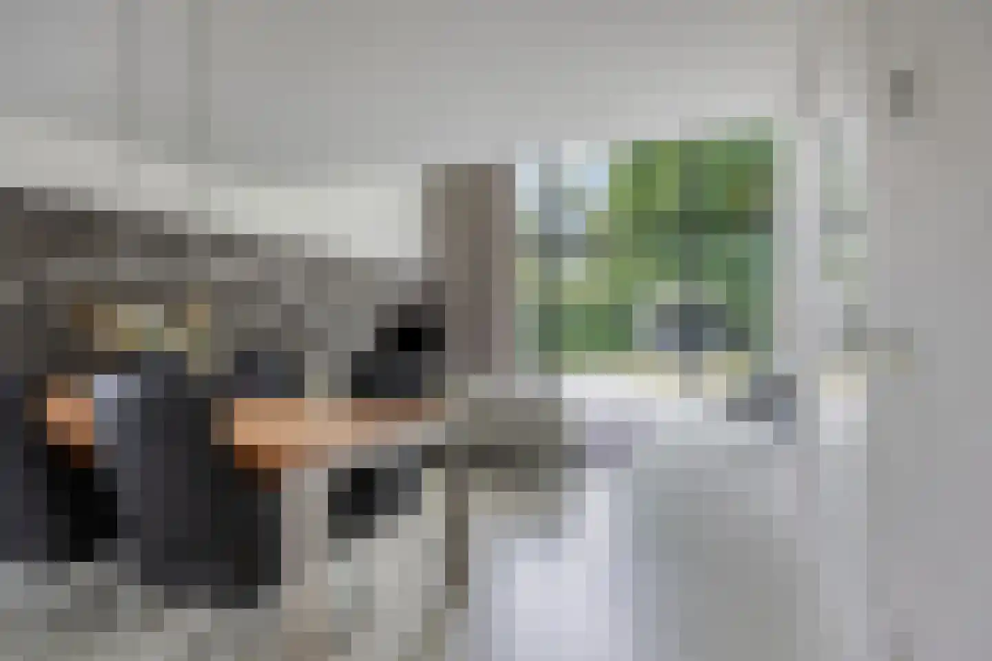 De Messemaker 30 Cuijk thumbnail 14