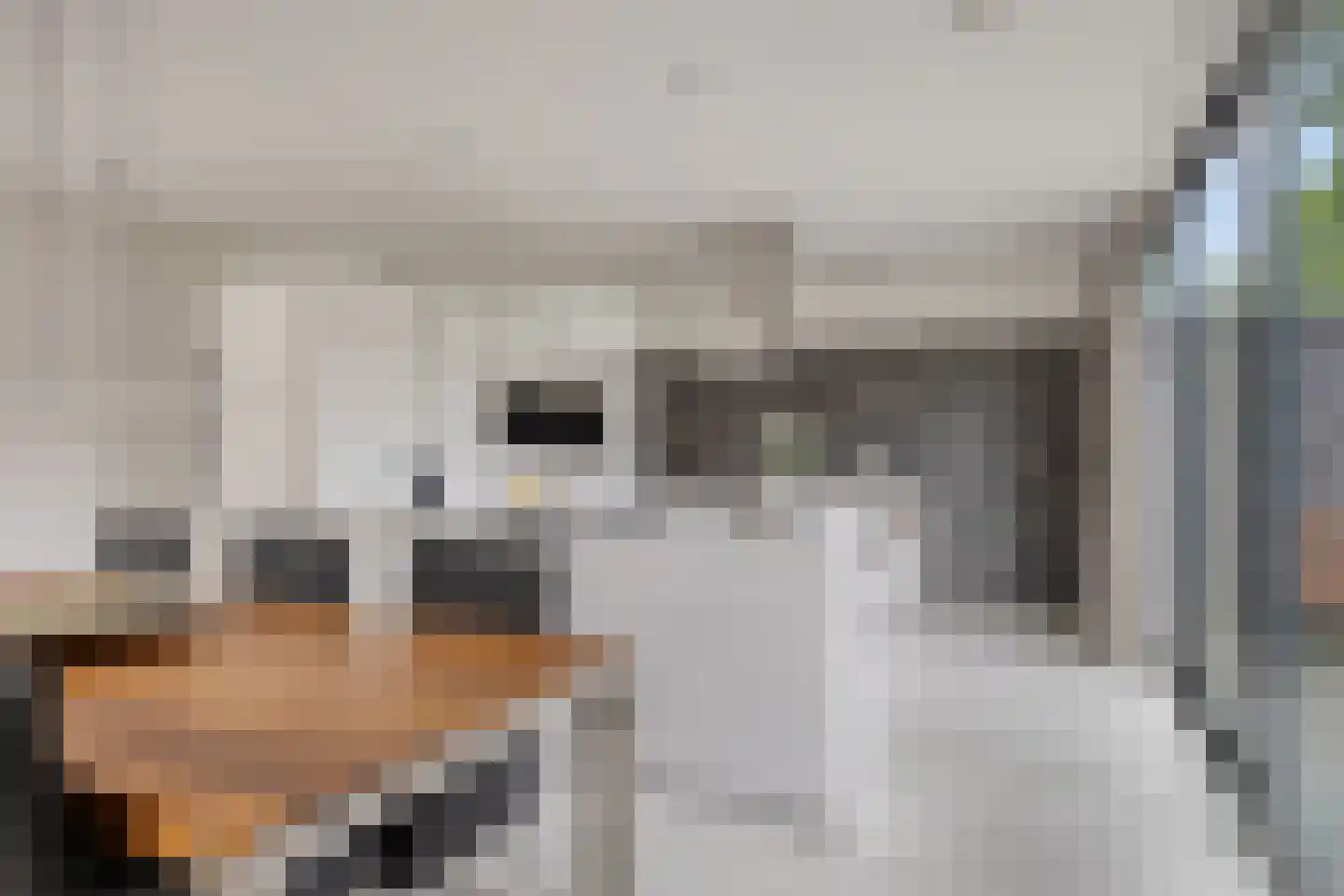 De Messemaker 30 Cuijk thumbnail 22
